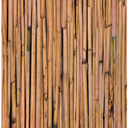 Bamboo self-adhesive foil