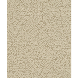 704341 wallpaper (Kalahari 2024)
