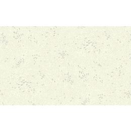 Hohenberger 81019-HTM