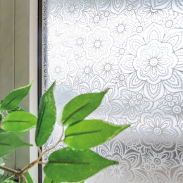 Candice statična folija