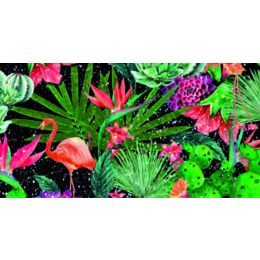 Cintia samoljepljiva folija