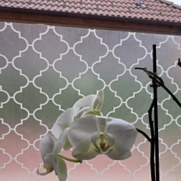 Onaldi samoljepljiva folija