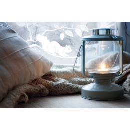 Pineview premium statická folia