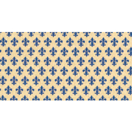 Pitti blau samolepiaca folia