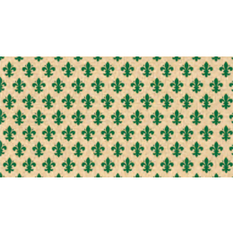 Pitti grün samolepiaca folia