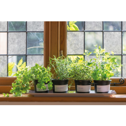 Reispapier premium statická folia