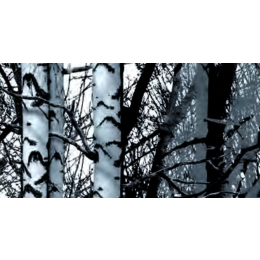 Wood samolepiaca folia